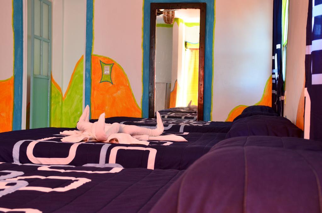 Adventure Experience Hotel Playa del Carmen Exteriér fotografie