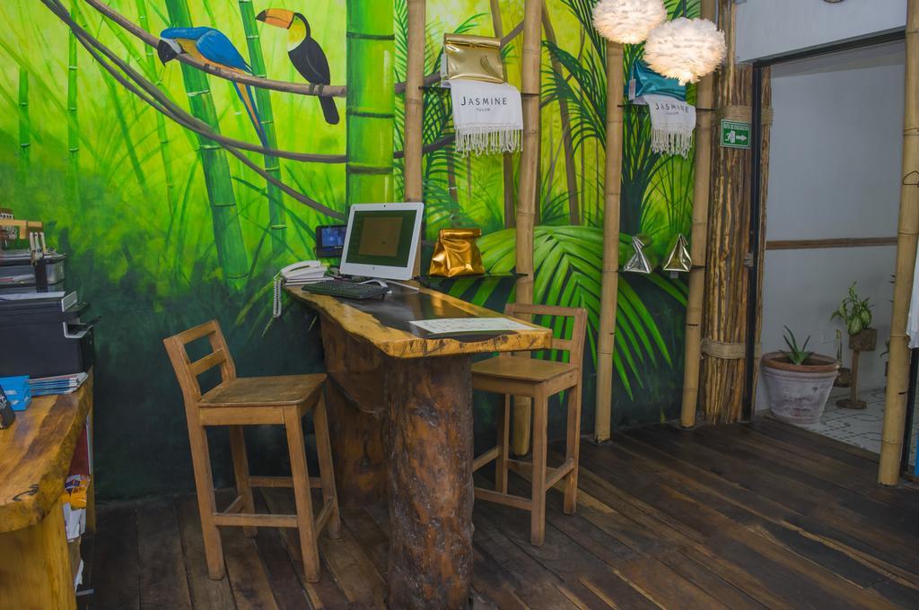 Adventure Experience Hotel Playa del Carmen Exteriér fotografie