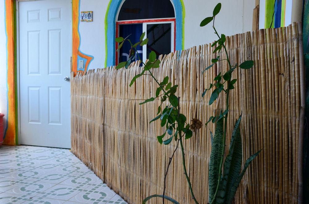 Adventure Experience Hotel Playa del Carmen Exteriér fotografie