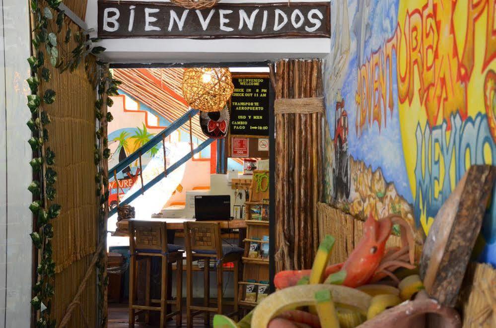 Adventure Experience Hotel Playa del Carmen Exteriér fotografie